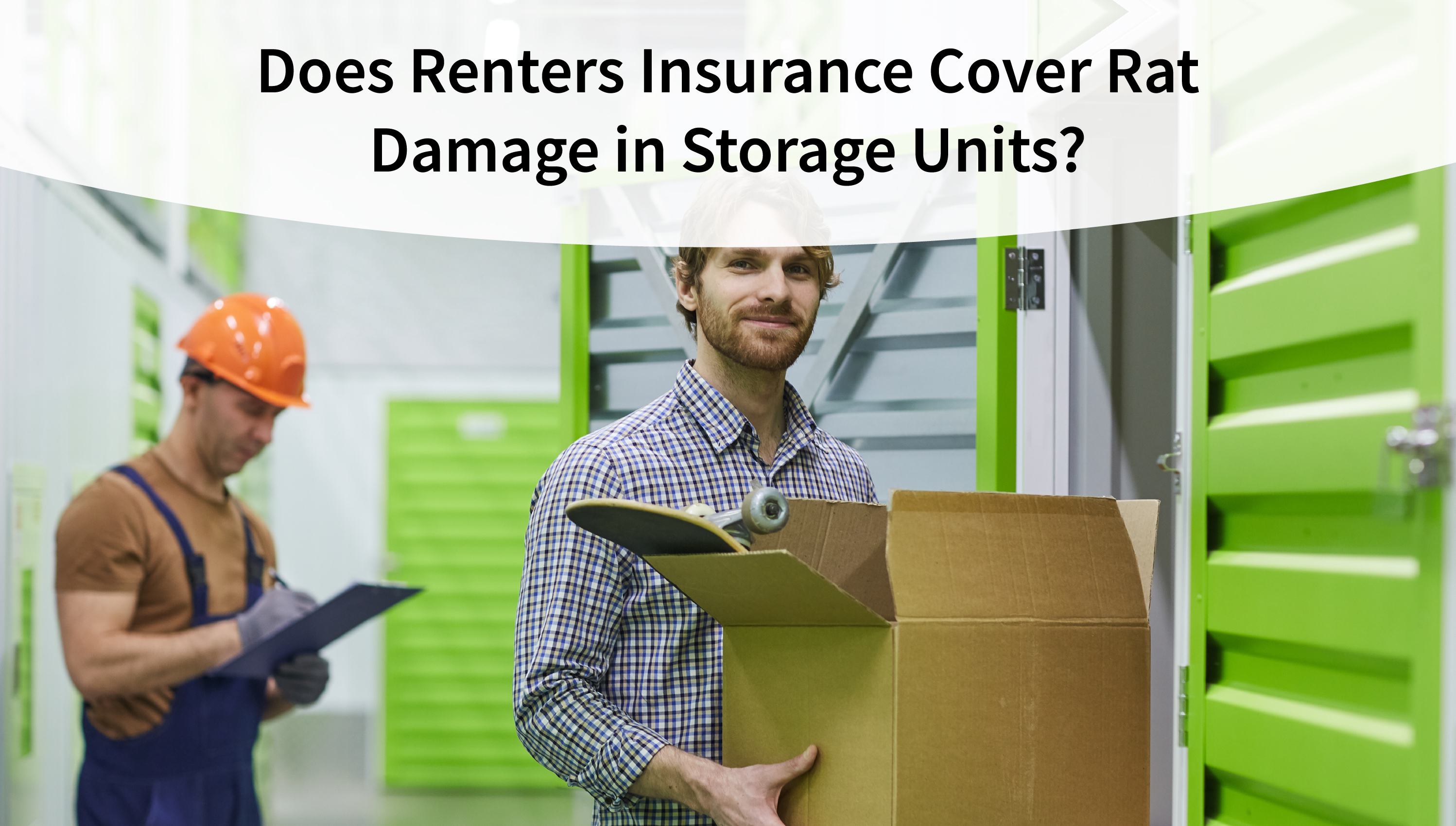 Does Renters Insurance Cover Rat Damage in Storage Units?
